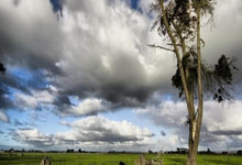 高配置服务器租用多少钱,服务器租用低价