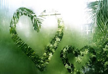 阿里云域名注册教程,阿里云域名如何注册