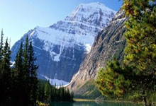 百度域名注册多少钱,百度注册域名免费建站