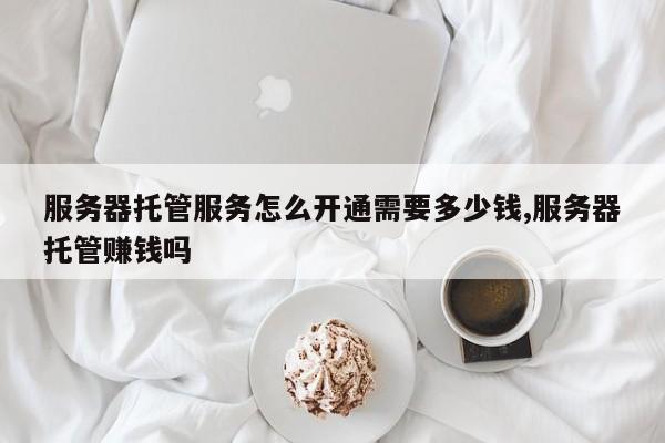 服务器托管服务怎么开通需要多少钱,服务器托管赚钱吗