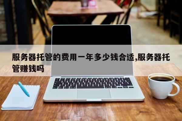 服务器托管的费用一年多少钱合适,服务器托管赚钱吗